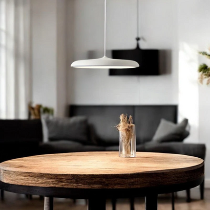 Elegant Nordic Black Pendant Light | ⌀30×H20 cm MARO Finer Living